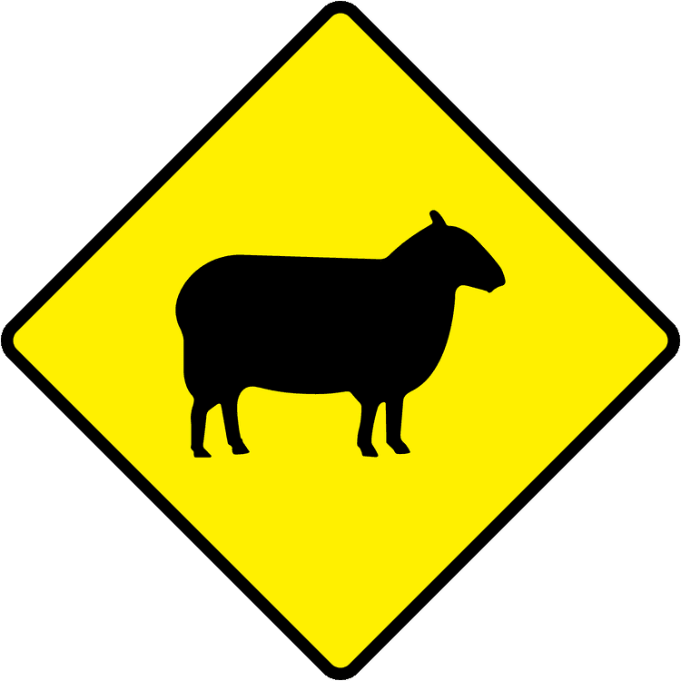 Irish Warning Sign: Sheep - Driving Theory Test Prep A triangular warning traffic sign in Ireland depicting sheep. Memorize for DTT.